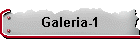 Galeria-1
