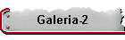 Galeria-2