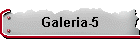 Galeria-5